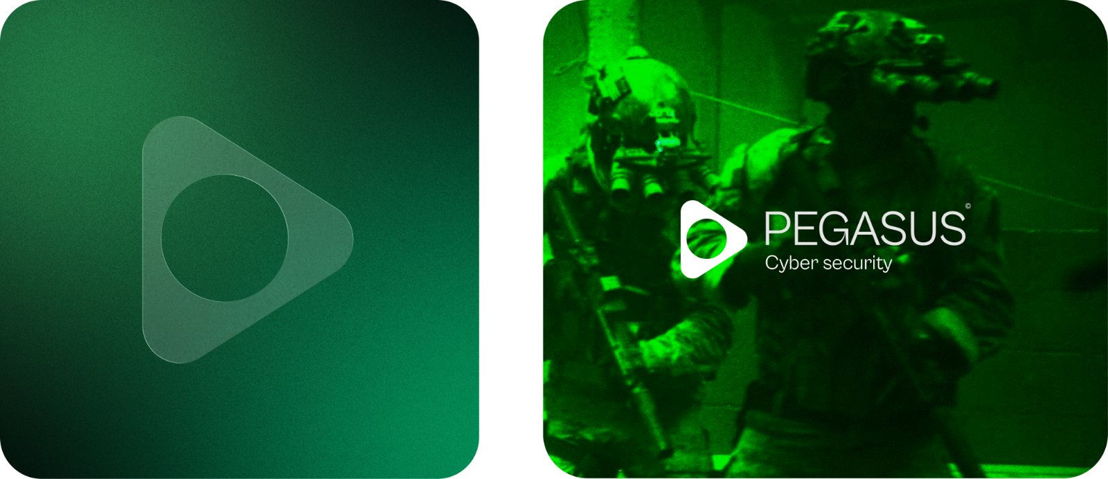 Pegasus Cyber Security